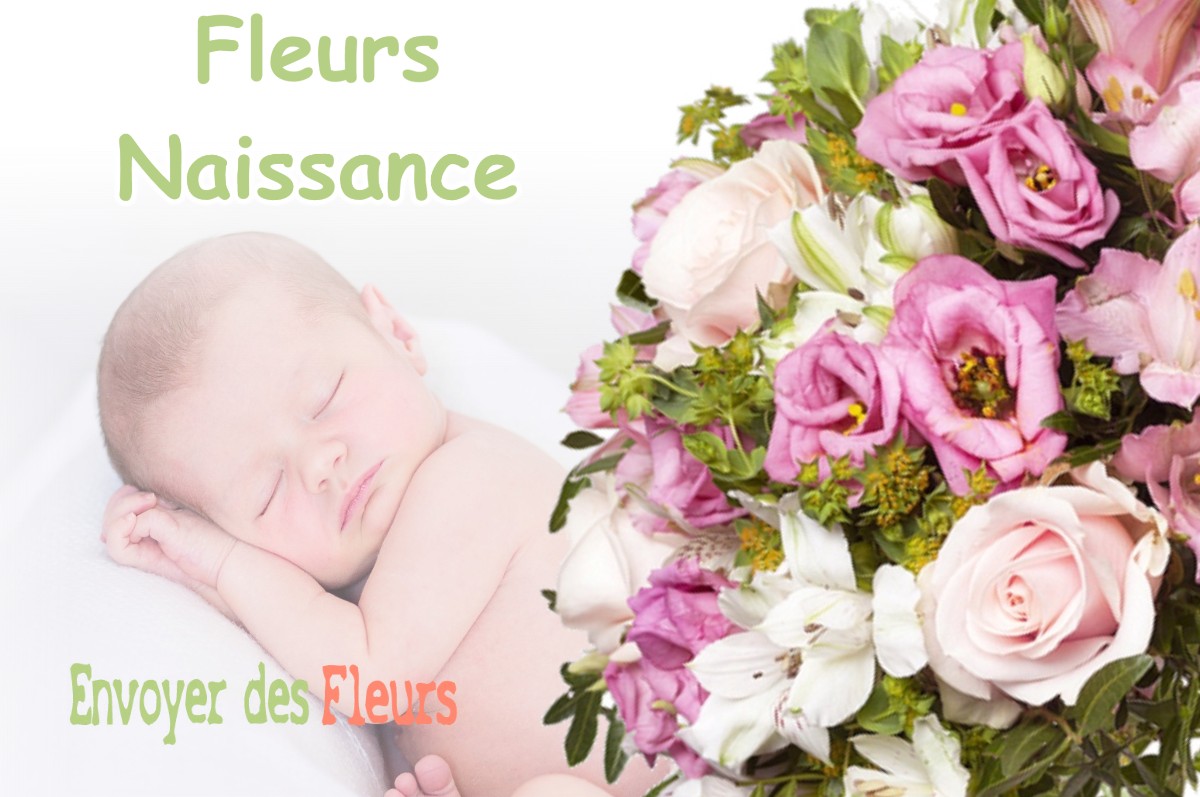 lIVRAISON FLEURS NAISSANCE à SAINT-REMY-LA-CALONNE